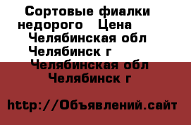 Сортовые фиалки   недорого › Цена ­ 50 - Челябинская обл., Челябинск г.  »    . Челябинская обл.,Челябинск г.